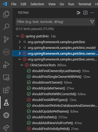 Tests view in VS Code