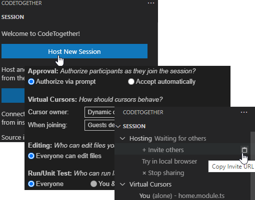 Hosting a session in VS Code